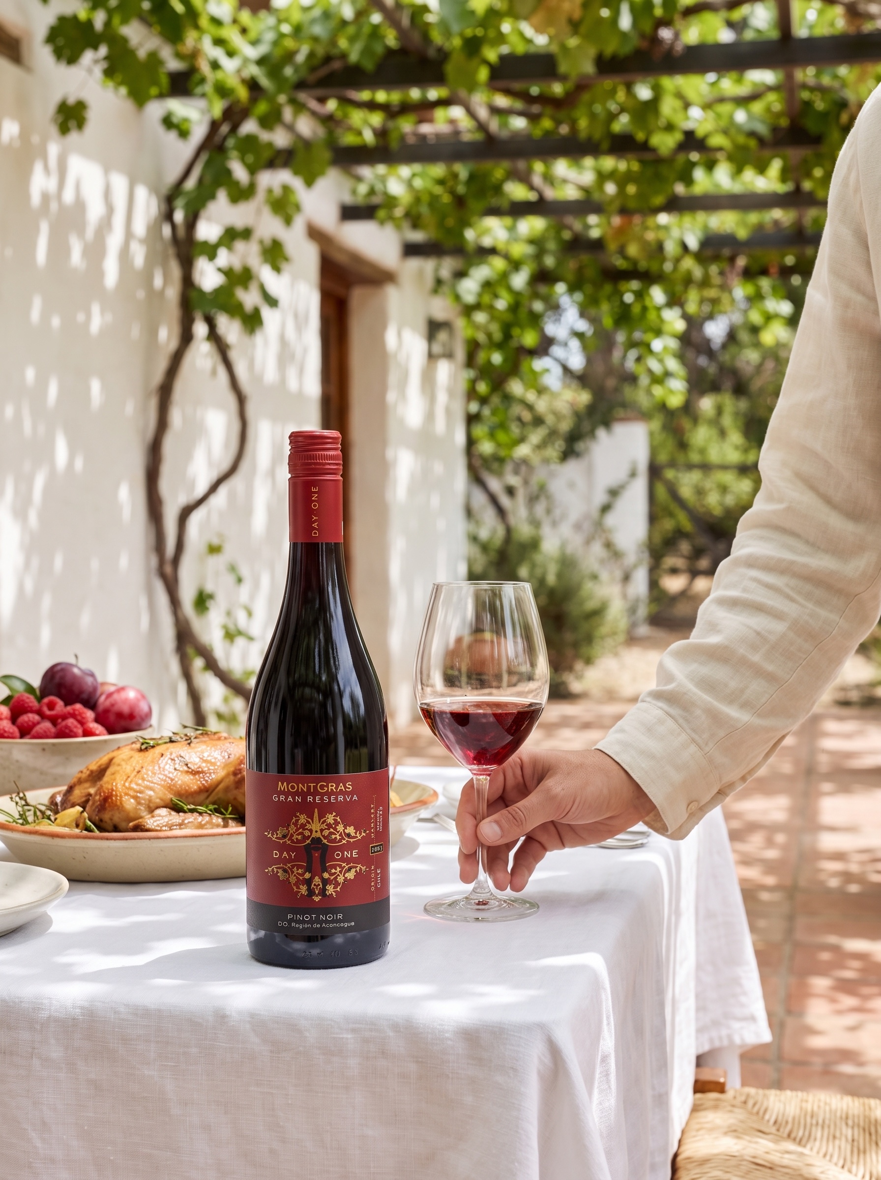 MontGras Gran Reserva Day One