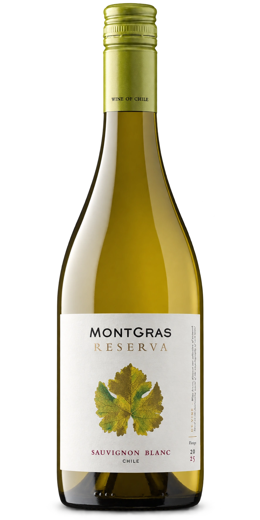 MontGras Reserva De Vine Sauvignon Blanc